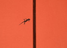 画像をギャラリービューアに読み込む, ENCOUNTERS I