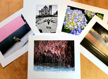 画像をギャラリービューアに読み込む, 「ENCOUNTERS X—Azores Islands(Portugal)」 ポルトガル アソーレス諸島