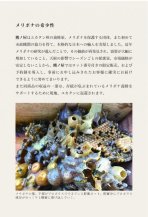 画像をギャラリービューアに読み込む, マヤ族 至宝の蜂蜜「メリポナ」登場!!