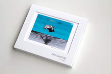 画像をギャラリービューアに読み込む, ENCOUNTERS V/VI/VII 生写真3枚つき