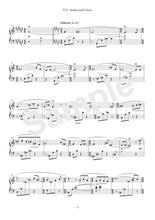 画像をギャラリービューアに読み込む, 灯火 楽譜 (データでのお渡しとなります)